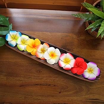 プルメリア出品 品種紹介4